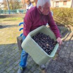 Una persona che rovescia un cesto pieno di castagne cotte