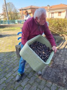 Una persona che rovescia un cesto pieno di castagne cotte