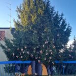 Albero in giardino con decorazioni natalizie e presepe